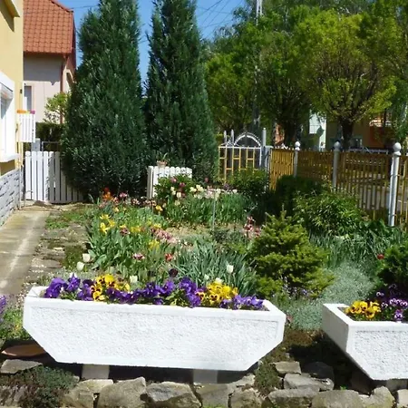 아파트 In Heviz/balaton 18904